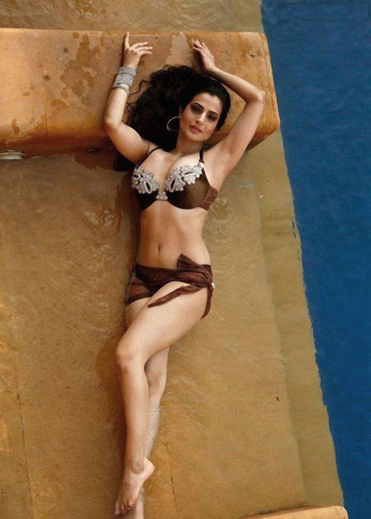 Amisha Patel Porn - After Ameesha Patel posted this pic, trolls advised her to do a porn film