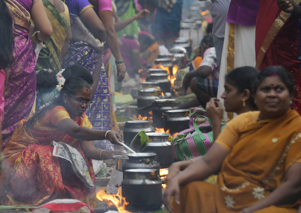 People across Tamil Nadu celebrate the harvest festival of Pongal today