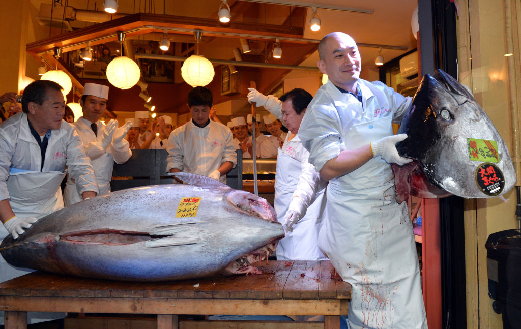 Tuna fish, World biggest fish market, World famous Tsukiji fish market, Japan, World news, Weird news, Offbeat news