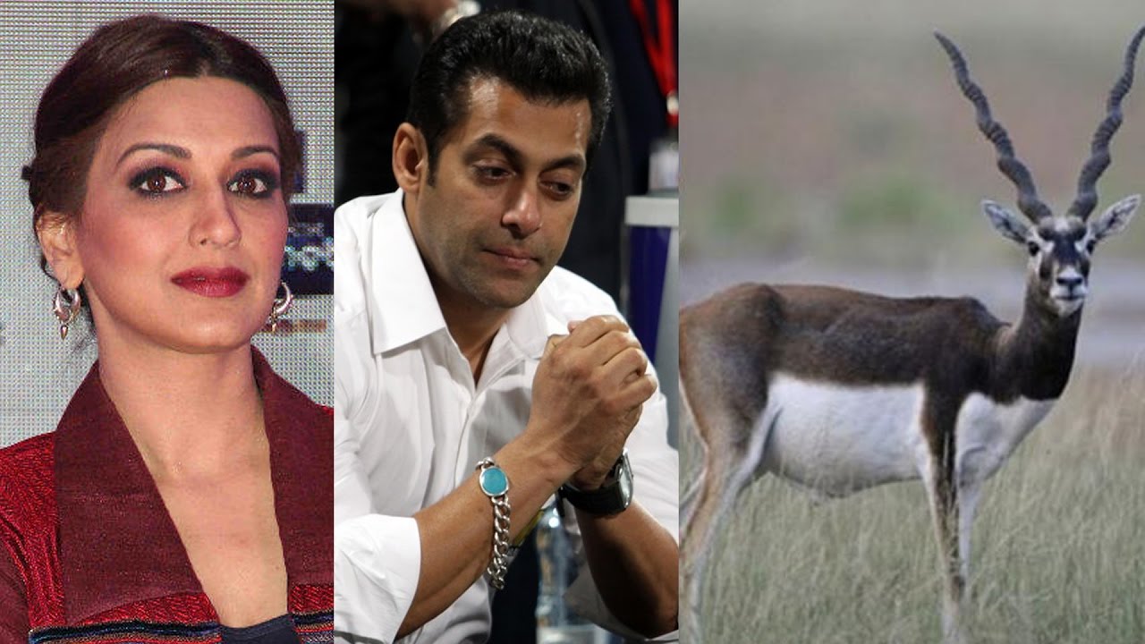 Blackbuck Poaching Case: Salman Khan Convicted, Others Acquitted By ...