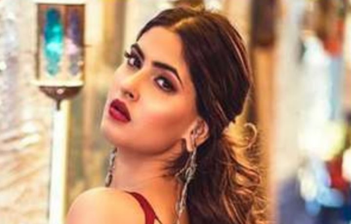 719px x 460px - Sexy Karishma Sharma looking extremely stunning in backless pink gown