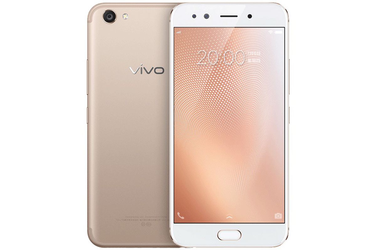 Vivo