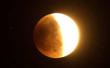 Lunar Eclipse, Solar Eclipse, Moon Carnival, Blood Moon, Chandra Grahan. Zodiac signs, Astrologer, Lifestyle news, Offbeat news