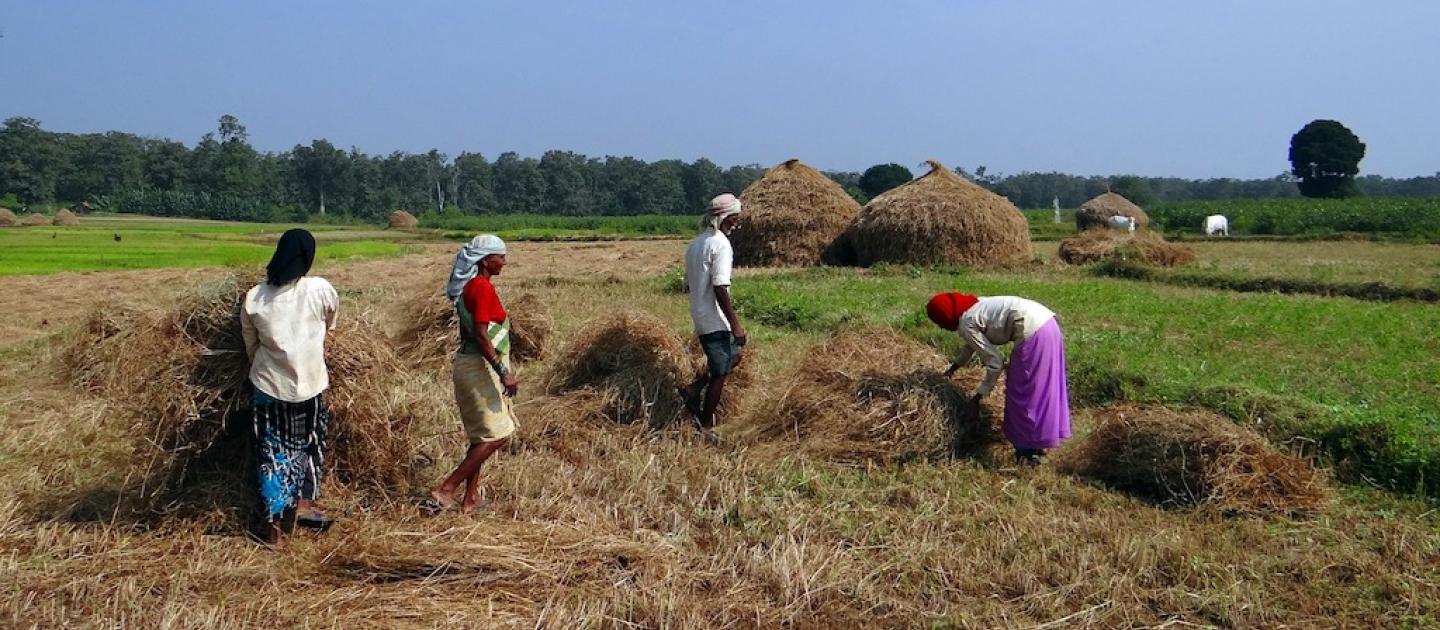 Farmer, Agriculture, Uttar Pradesh government, UP number one state, Number One State, Government of UP, Government of Uttar Pradesh, Uttar Pradesh Agriculture Minister, Surya Pratap Shahi, Uttar Pradesh news, Regional news