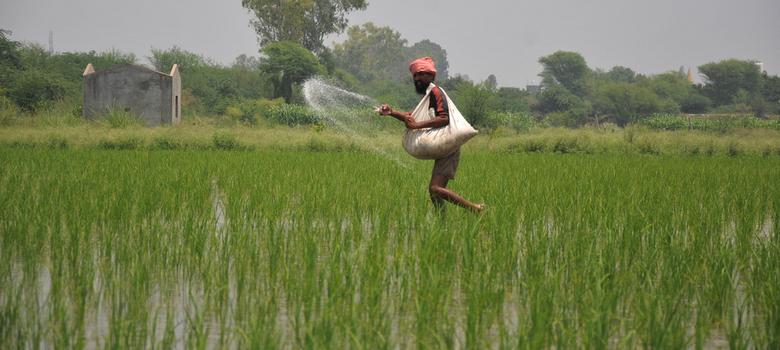 Farmer, Agriculture, Uttar Pradesh government, UP number one state, Number One State, Government of UP, Government of Uttar Pradesh, Uttar Pradesh Agriculture Minister, Surya Pratap Shahi, Uttar Pradesh news, Regional news