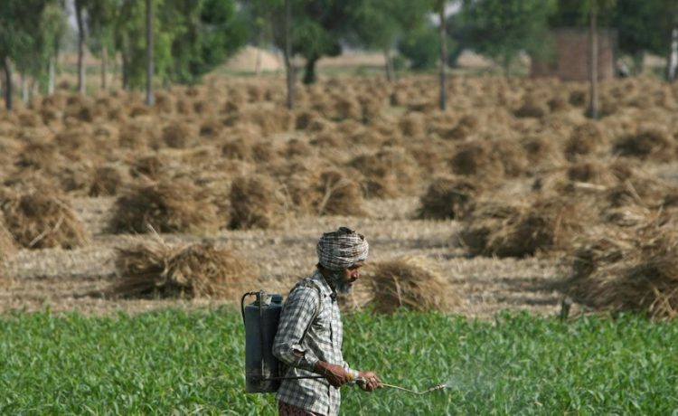 Farmer, Agriculture, Uttar Pradesh government, UP number one state, Number One State, Government of UP, Government of Uttar Pradesh, Uttar Pradesh Agriculture Minister, Surya Pratap Shahi, Uttar Pradesh news, Regional news