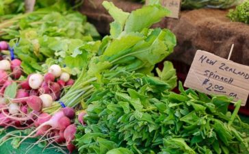 Green leafy vegetables, Fatty liver, Liver steatosis, Liver disease, Alcohol consumption, Health news, Lifestyle news, Offbeat news