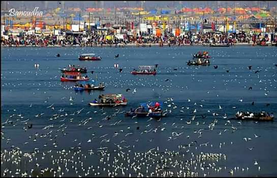 Kumbh Mela, Ardha Kumbh, Religious gatherings, Akshay Vat, Banyan Tree, Hindus, Saraswati Koop, Saraswati River, Prayagraj, Allahabad, Uttar Pradesh news