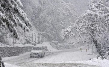 Fresh Snowfall, Cold wave, Kashmir, India Meteorological Department, IMD, National news