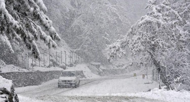 Fresh Snowfall, Cold wave, Kashmir, India Meteorological Department, IMD, National news