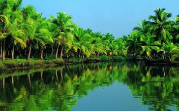 Booking.com, Kerala, Tops 10 destinations in India, List of top ten 10 destinations in India, Lifestyle news