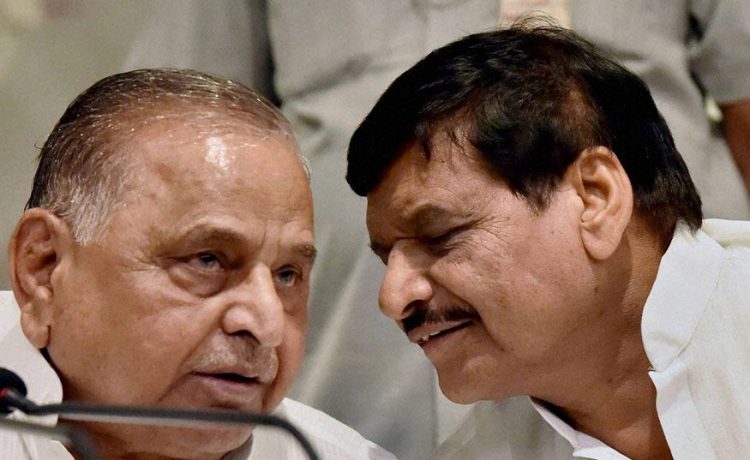 Shivpal Singh Yadav, Pragatisheel Samajwadi Party, SP-BSP-RLD alliance, Congress, Bharatiya Janata Party, Uttar Pradesh, Politics news